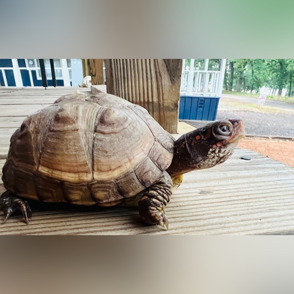 A little about me. - Picture 14 of 16